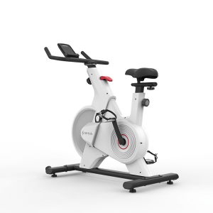 Sh B399 Spinning Bike For Home 1